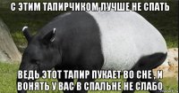 с этим тапирчиком лучше не спать ведь этот тапир пукает во сне , и вонять у вас в спальне не слабо
