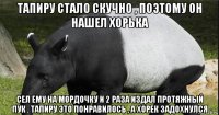 тапиру стало скучно , поэтому он нашел хорька сел ему на мордочку и 2 раза издал протяжный пук . тапиру это понравилось , а хорек задохнулся