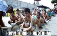  кормят как животинах