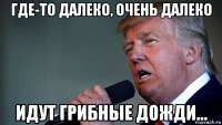 где-то далеко, очень далеко идут грибные дожди...