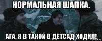 нормальная шапка. ага. я в такой в детсад ходил!