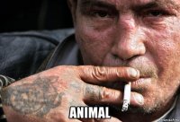  animal