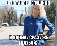 что такое чепушило и почему сразу же голубой?