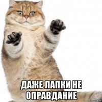  даже лапки не оправдание