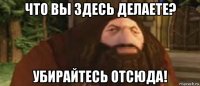что вы здесь делаете? убирайтесь отсюда!