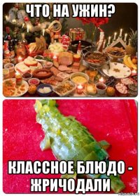 что на ужин? классное блюдо - жричодали