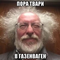 пора твари в газенваген