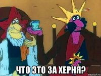  что это за херня?