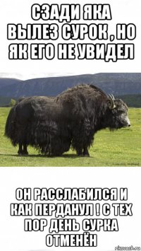 сзади яка вылез сурок , но як его не увидел он расслабился и как перданул ! с тех пор день сурка отменён