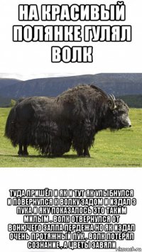 на красивый полянке гулял волк туда пришёл и як и тут як улыбнулся и повернулся к волку задом и издал 3 пука и яку показалось это таким милым . волк отвернулся от вонючего залпа пердежа но як издал очень протяжный пук , волк потерял сознание , а цветы завяли
