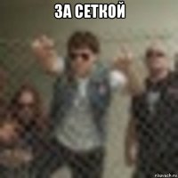 за сеткой 