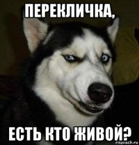 перекличка, есть кто живой?