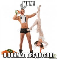 мам! я поймал вредителя!