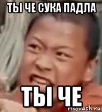 ты че сука падла ты че