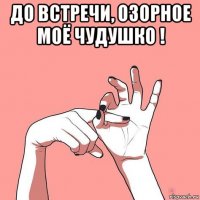 до встречи, озорное моё чудушко ! 
