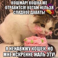 кошмар! кошка же отравится! котам нельзя сладкое давать! я ненавижу кошек, но мне искренне жаль эту!