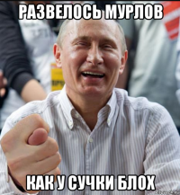 развелось мурлов как у сучки блох