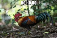ко ко ко 