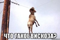  что такое вискоза?