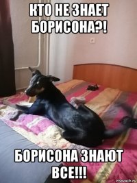 кто не знает борисона?! борисона знают все!!!