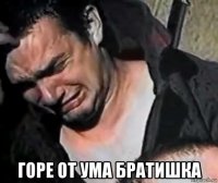  горе от ума братишка