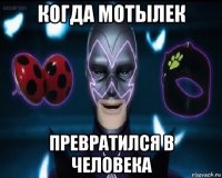 когда мотылек превратился в человека