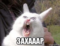  захааар