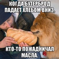когда бутерброд падает хлебом вниз, кто-то пожадничал масла.
