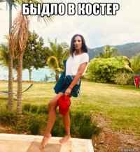 быдло в костер 