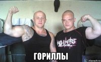  гориллы