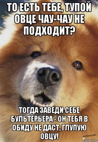 то есть тебе, тупой овце чау-чау не подходит? тогда заведи себе бультерьера - он тебя в обиду не даст, глупую овцу!