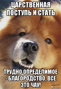 царственная поступь и стать трудно определимое - благородство, все это чау!