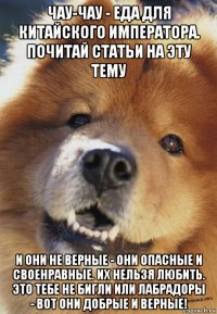 чау-чау - еда для китайского императора. почитай статьи на эту тему и они не верные - они опасные и своенравные. их нельзя любить. это тебе не бигли или лабрадоры - вот они добрые и верные!