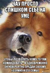 чау просто слишком себе на уме чтобы позволять кому-то там командовать - и одновременно он невероятно предан своему хозяину и его семье