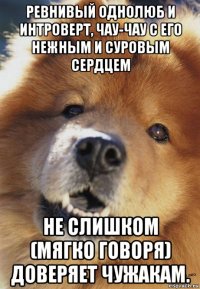 ревнивый однолюб и интроверт, чау-чау с его нежным и суровым сердцем не слишком (мягко говоря) доверяет чужакам.