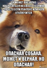 он может внезапно наброситься на своего хозяина - просто если рефлекс или нерв отключится опасная собака, может и верная, но опасная!