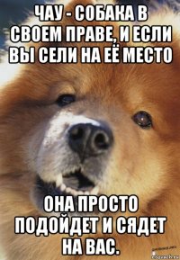 чау - собака в своем праве, и если вы сели на её место она просто подойдет и сядет на вас.