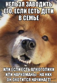 нельзя заводить его, если есть дети в семье или если есть алкоголики или наркоманы - на них он охотится начинает!