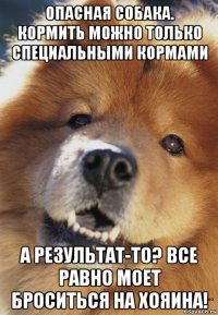 опасная собака. кормить можно только специальными кормами а результат-то? все равно моет броситься на хояина!