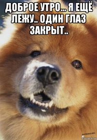 доброе утро... я ещё лежу.. один глаз закрыт.. 