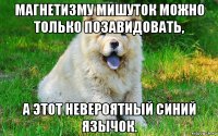 магнетизму мишуток можно только позавидовать, а этот невероятный синий язычок.