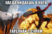 кагда кидаешь в кота тарелкай с супом