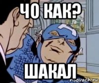 чо как? шакал