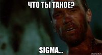 что ты такое? sigma...