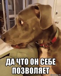  да что он себе позволяет