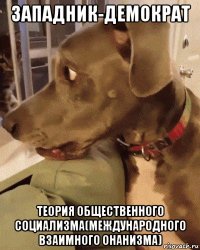 западник-демократ теория общественного социализма(международного взаимного онанизма)