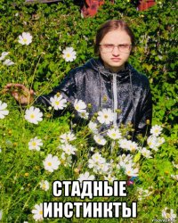  стадные инстинкты