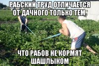 рабский труд отличается от дачного только тем, что рабов не кормят шашлыком