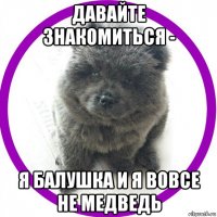 давайте знакомиться - я балушка и я вовсе не медведь