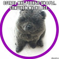 оставь мне ровные цифры.. слишком мутно все... 